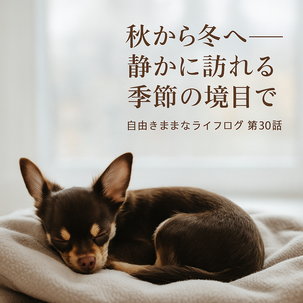 柔らかな冬の光の中、ベージュの毛布の上で丸く眠るチョコレートタンのチワワ、オペラ