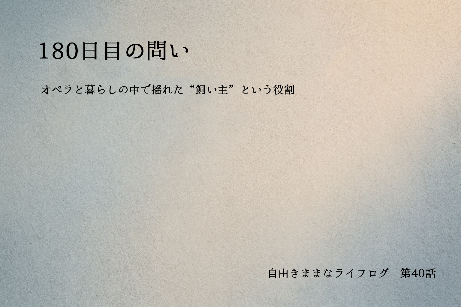 冬の柔らかな光が差し込む静かな壁面に、第40話のタイトルが浮かぶ抽象的なアイキャッチ画像。