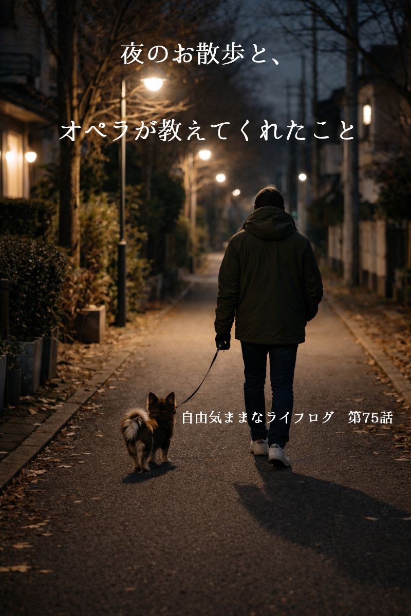 夜道を歩く飼い主とチワワ・オペラの後ろ姿。街灯に照らされた静かな夜のお散歩風景。