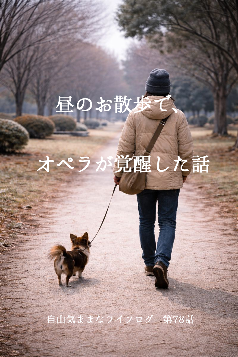 冬の昼下がり、公園の小道をチワワのオペラと一緒に歩く散歩の後ろ姿