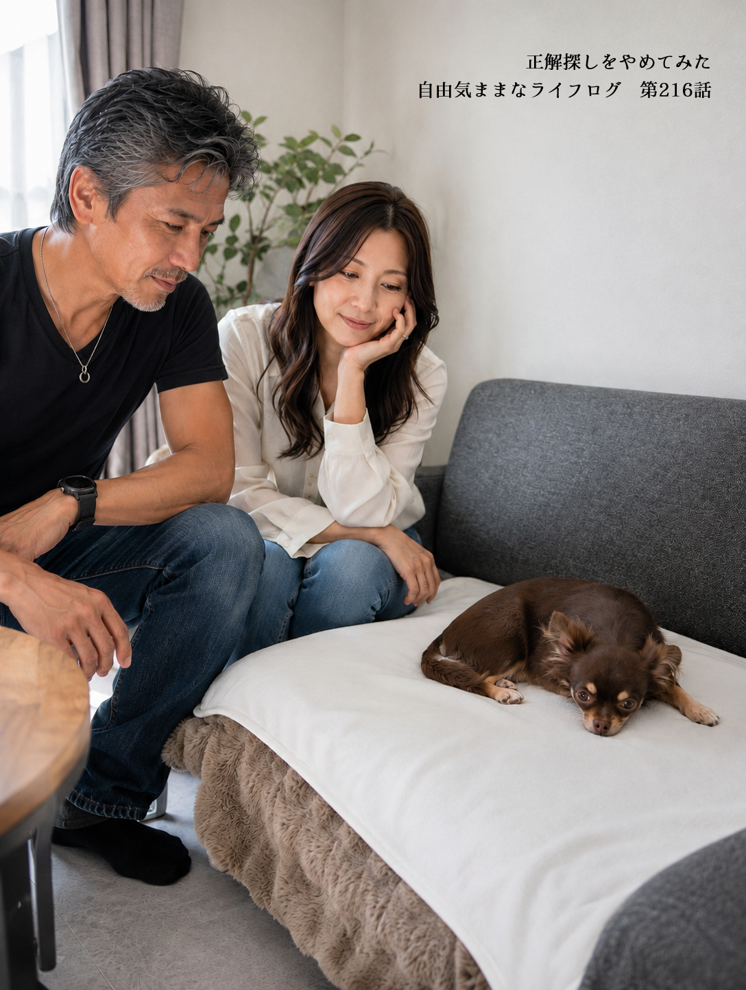 洗えるペットシーツの上でくつろぐチワワのオペラ
